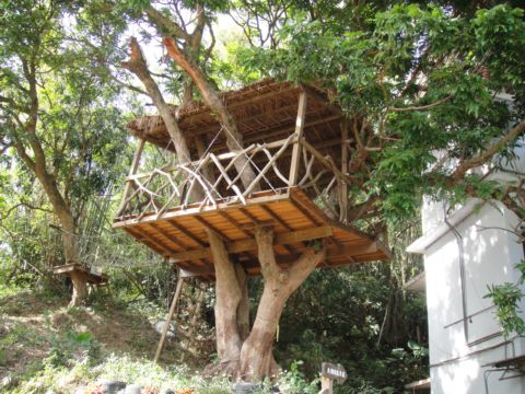 跟著圳路走~大鄉里的樹屋(98.12.16) 跟著圳路走~大鄉里的樹屋(98.12.16)