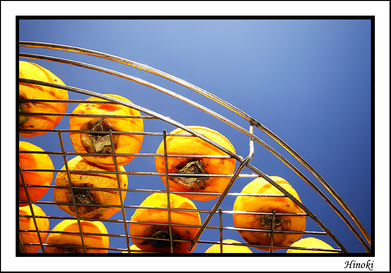 01-新埔柿餅.jpg 01-新埔柿餅.jpg