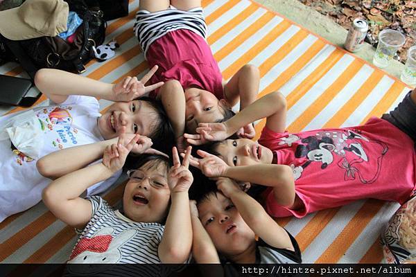 319456_252857154826243_1218867441_n