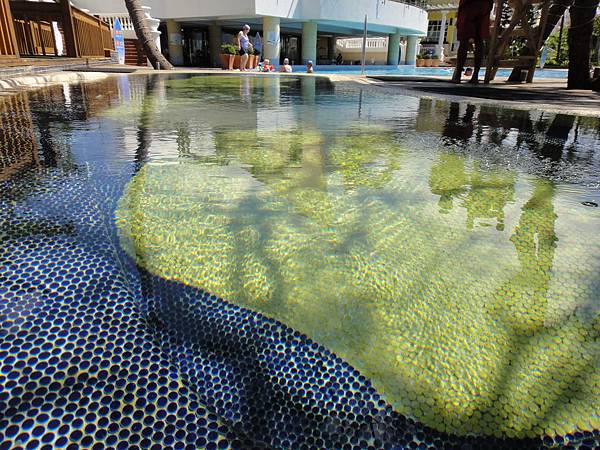 DSC04633.JPG DSC04633.JPG