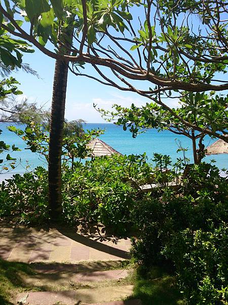 DSC_0318.jpg DSC_0318.jpg