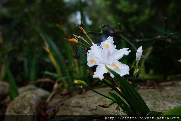 DSC05034.JPG DSC05034.JPG