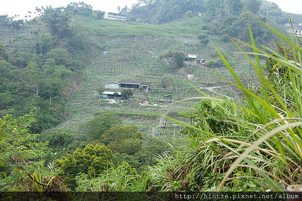 DSC05038.JPG DSC05038.JPG