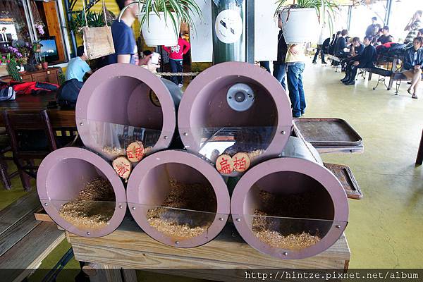 DSC04982.JPG DSC04982.JPG