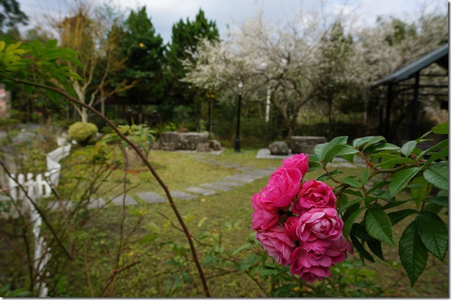 DSC02577 DSC02577