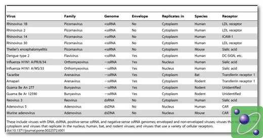 20110813_134123_293_u.jpg 20110813_134123_293_u.jpg