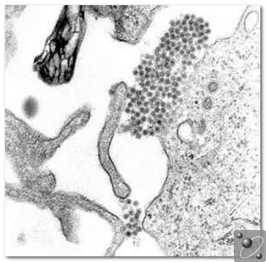 07565701930245079.jpg 07565701930245079.jpg