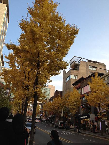 2012.11.10-14 397 2012.11.10-14 397