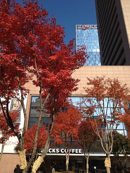 2012.11.10-14 1621 2012.11.10-14 1621