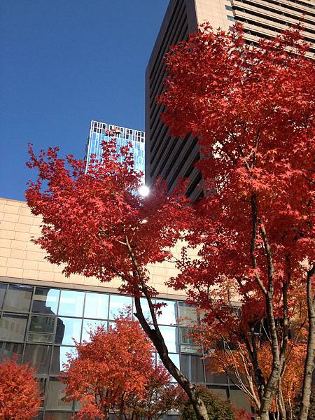 2012.11.10-14 1618 2012.11.10-14 1618