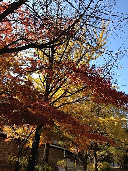 2012.11.10-14 1688 2012.11.10-14 1688