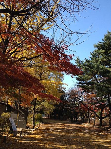 2012.11.10-14 1689 2012.11.10-14 1689