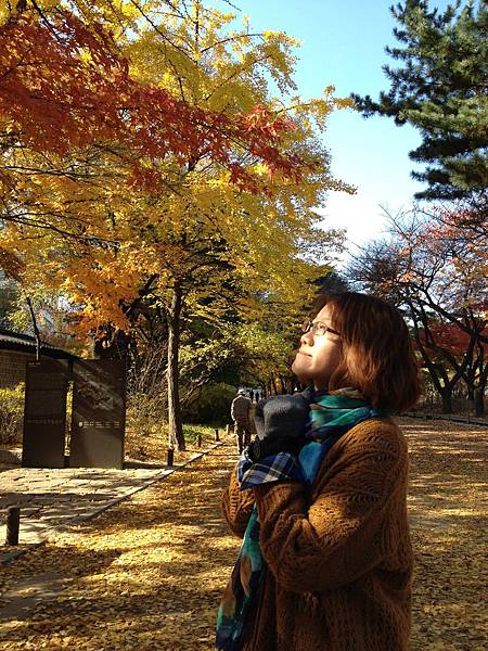 2012.11.10-14 1738 2012.11.10-14 1738