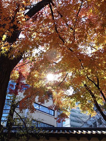 2012.11.10-14 1765 2012.11.10-14 1765