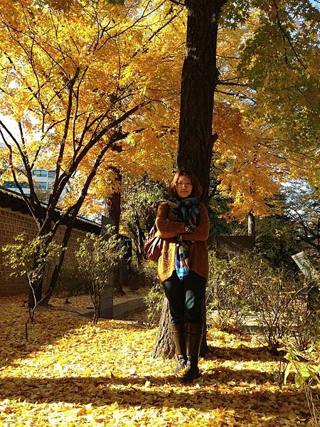 2012.11.10-14 1766 2012.11.10-14 1766