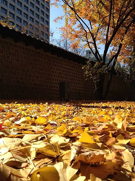 2012.11.10-14 1795 2012.11.10-14 1795