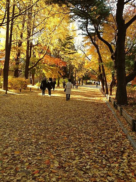 2012.11.10-14 1814 2012.11.10-14 1814