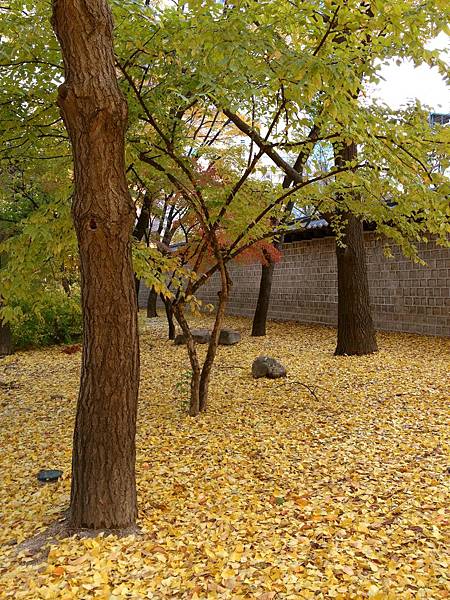 2012.11.10-14 1848 2012.11.10-14 1848