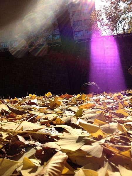 2012.11.10-14 1853 2012.11.10-14 1853