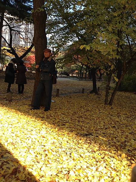 2012.11.10-14 1870 2012.11.10-14 1870