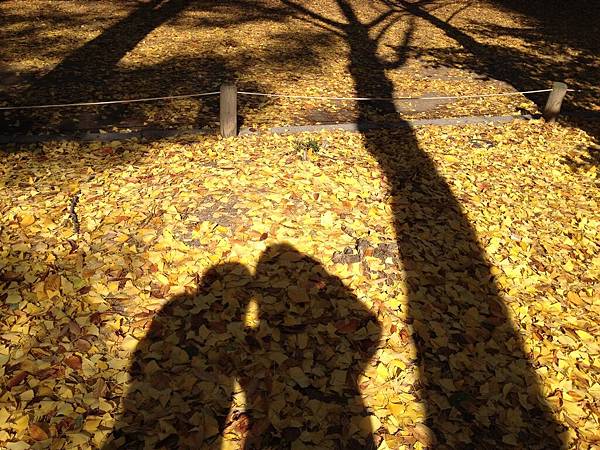 2012.11.10-14 1892 2012.11.10-14 1892