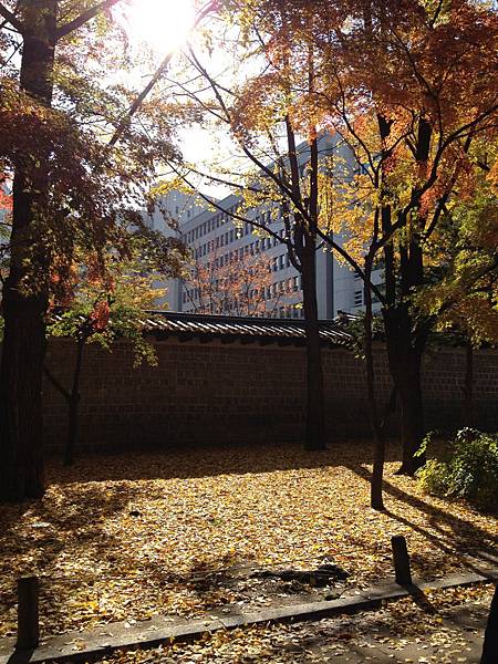 2012.11.10-14 1903 2012.11.10-14 1903