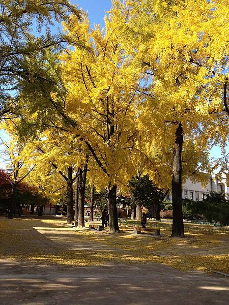 2012.11.10-14 1927 2012.11.10-14 1927