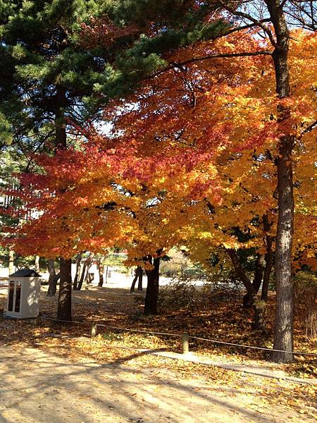 2012.11.10-14 1942 2012.11.10-14 1942