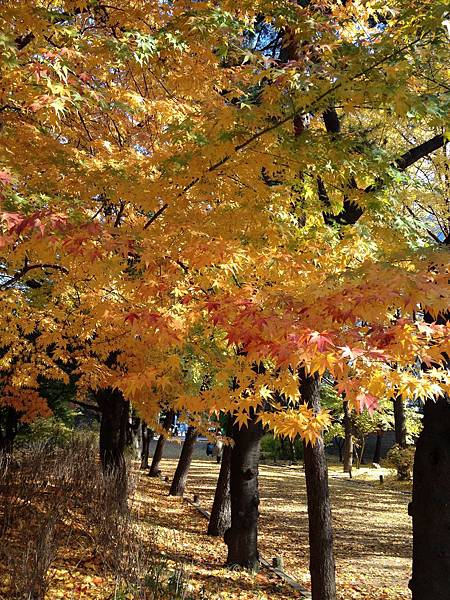 2012.11.10-14 1944 2012.11.10-14 1944