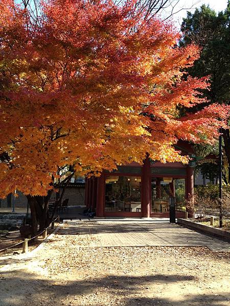 2012.11.10-14 1952 2012.11.10-14 1952