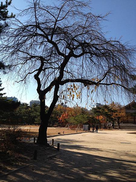 2012.11.10-14 1956 2012.11.10-14 1956