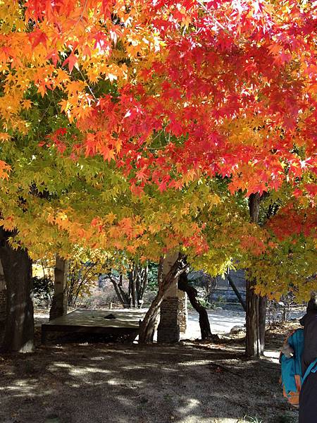 2012.11.10-14 1962 2012.11.10-14 1962