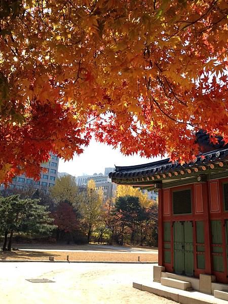 2012.11.10-14 1971 2012.11.10-14 1971