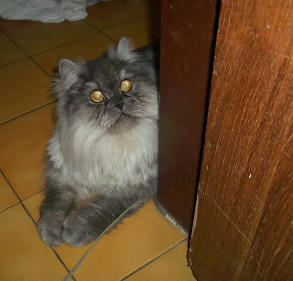 IMGP3908 IMGP3908