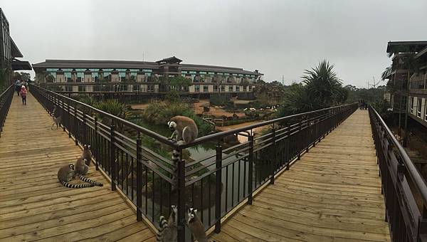 2015年假 2015年假