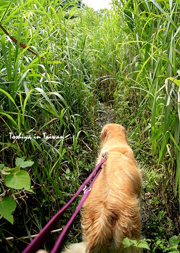 9907100156.JPG 9907100156.JPG