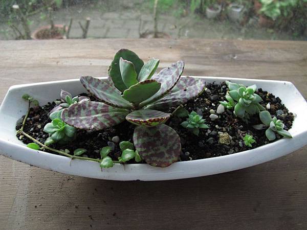 1223 041.jpg 1223 041.jpg