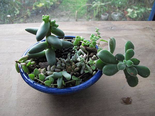 1223 042.jpg 1223 042.jpg