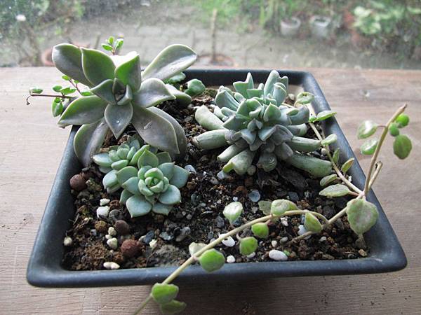 1223 043.jpg 1223 043.jpg