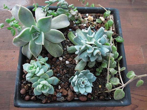 1230 005.jpg 1230 005.jpg