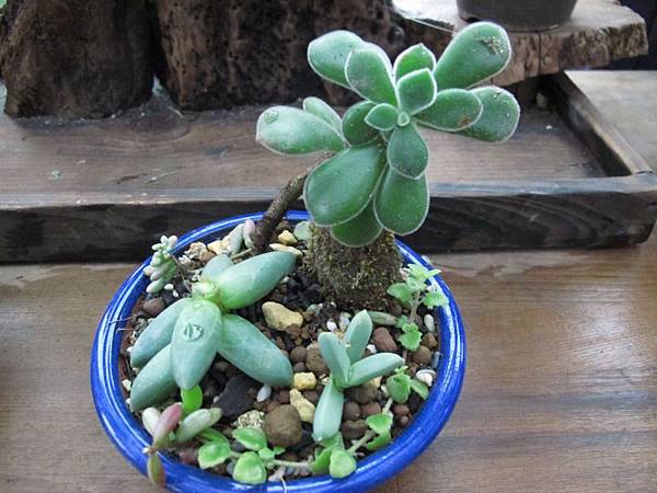 0101 001.jpg 0101 001.jpg