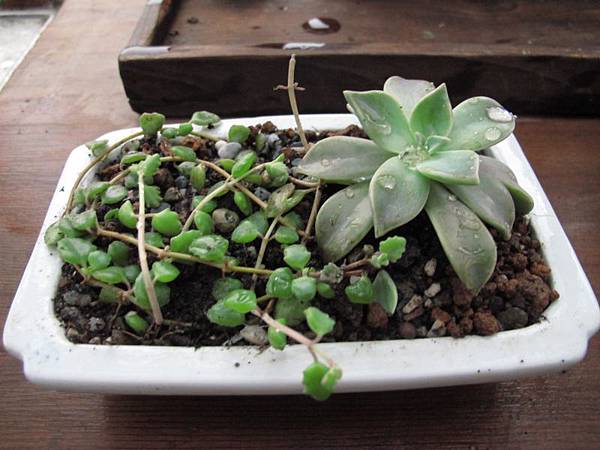 0101 002.jpg 0101 002.jpg