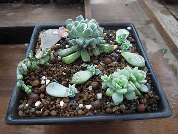 0101 004.jpg 0101 004.jpg