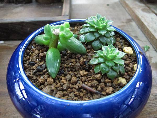 0101 003.jpg 0101 003.jpg