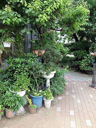 IMG_6309 IMG_6309