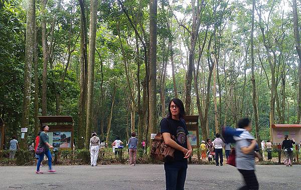 嘉義-樹木園05 嘉義-樹木園05