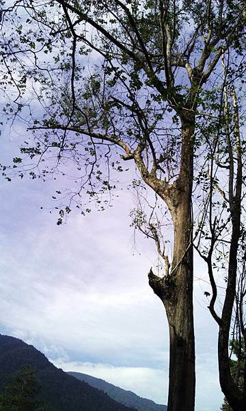 IMAG0830 IMAG0830