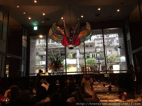 S__9625607.jpg S__9625607.jpg