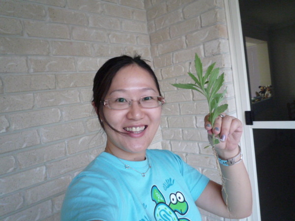 P1000130.JPG P1000130.JPG