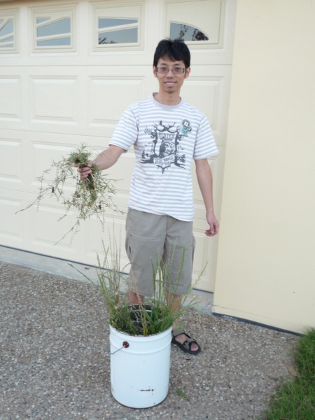 P1000118.JPG P1000118.JPG